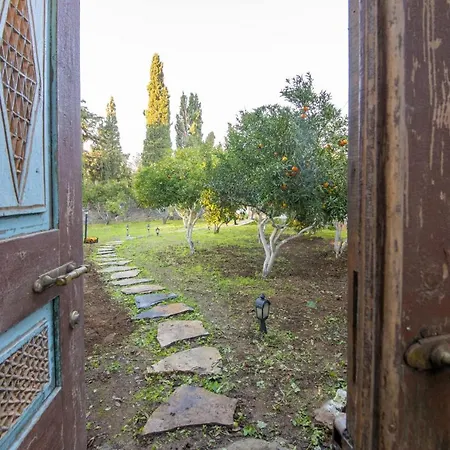 Casa de Férias Invigorating Surrounded By Nature In Gümüşlük