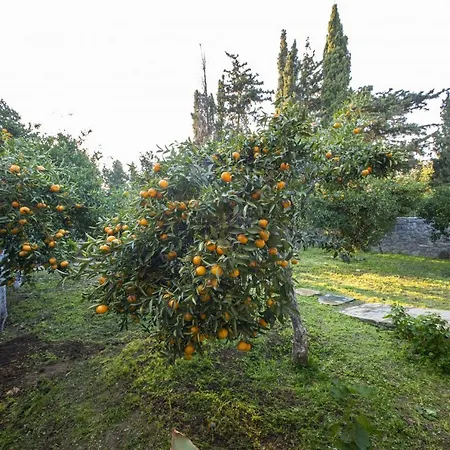 Invigorating Surrounded By Nature In * Gümüşlük